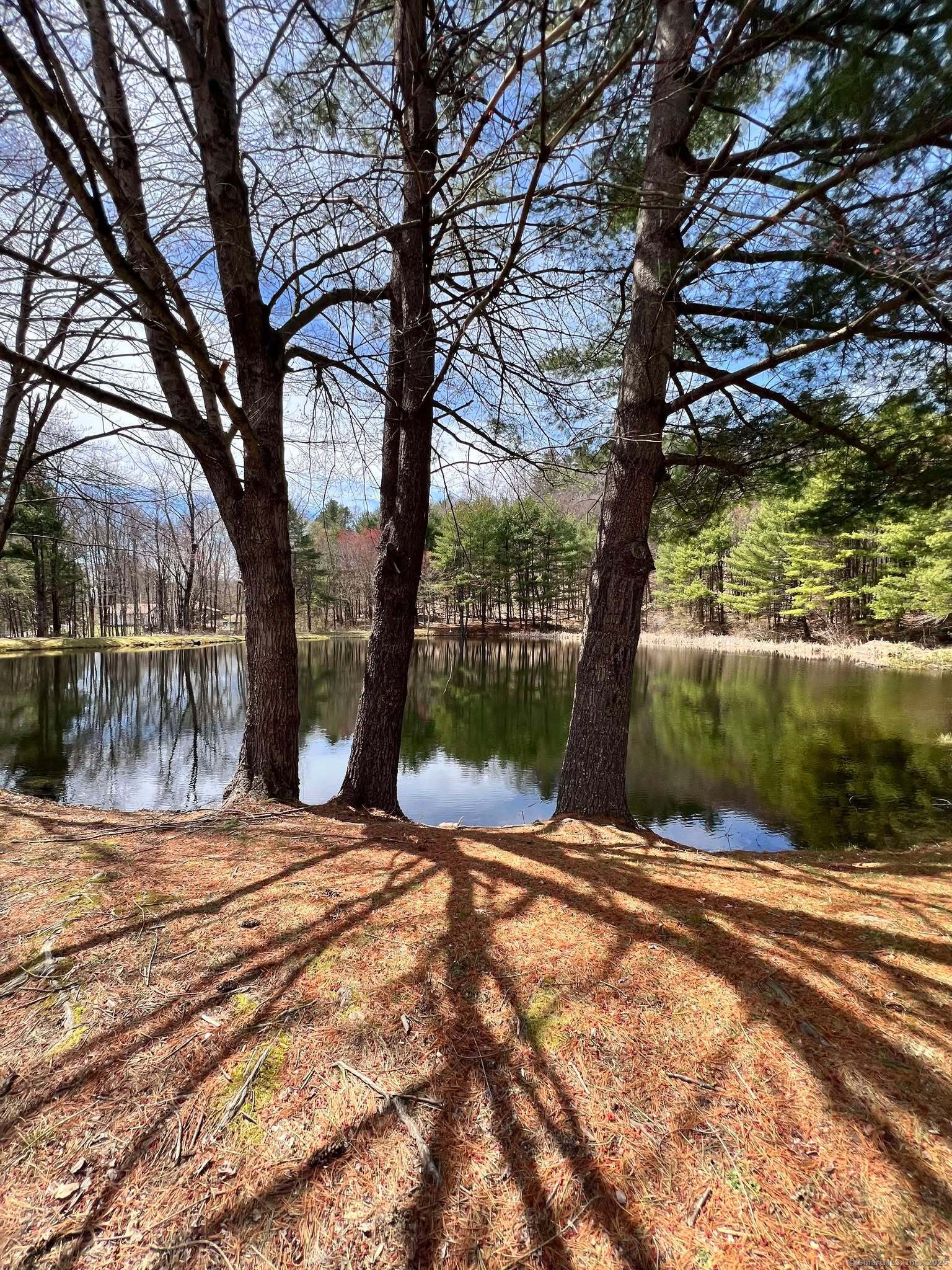 25 Ct Route 197 Lot 42, Woodstock, Connecticut image 31