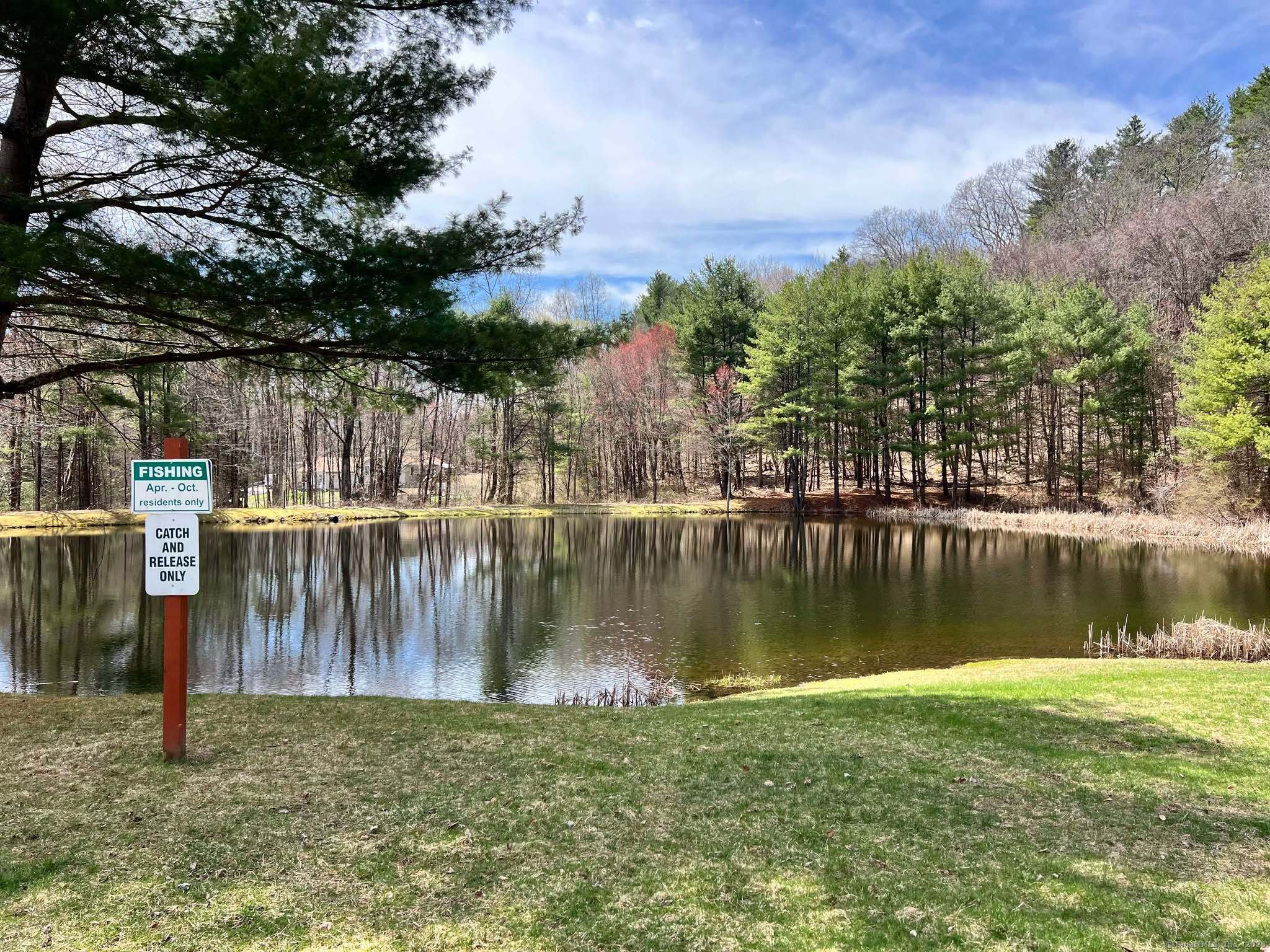 25 Ct Route 197 Lot 42, Woodstock, Connecticut image 29