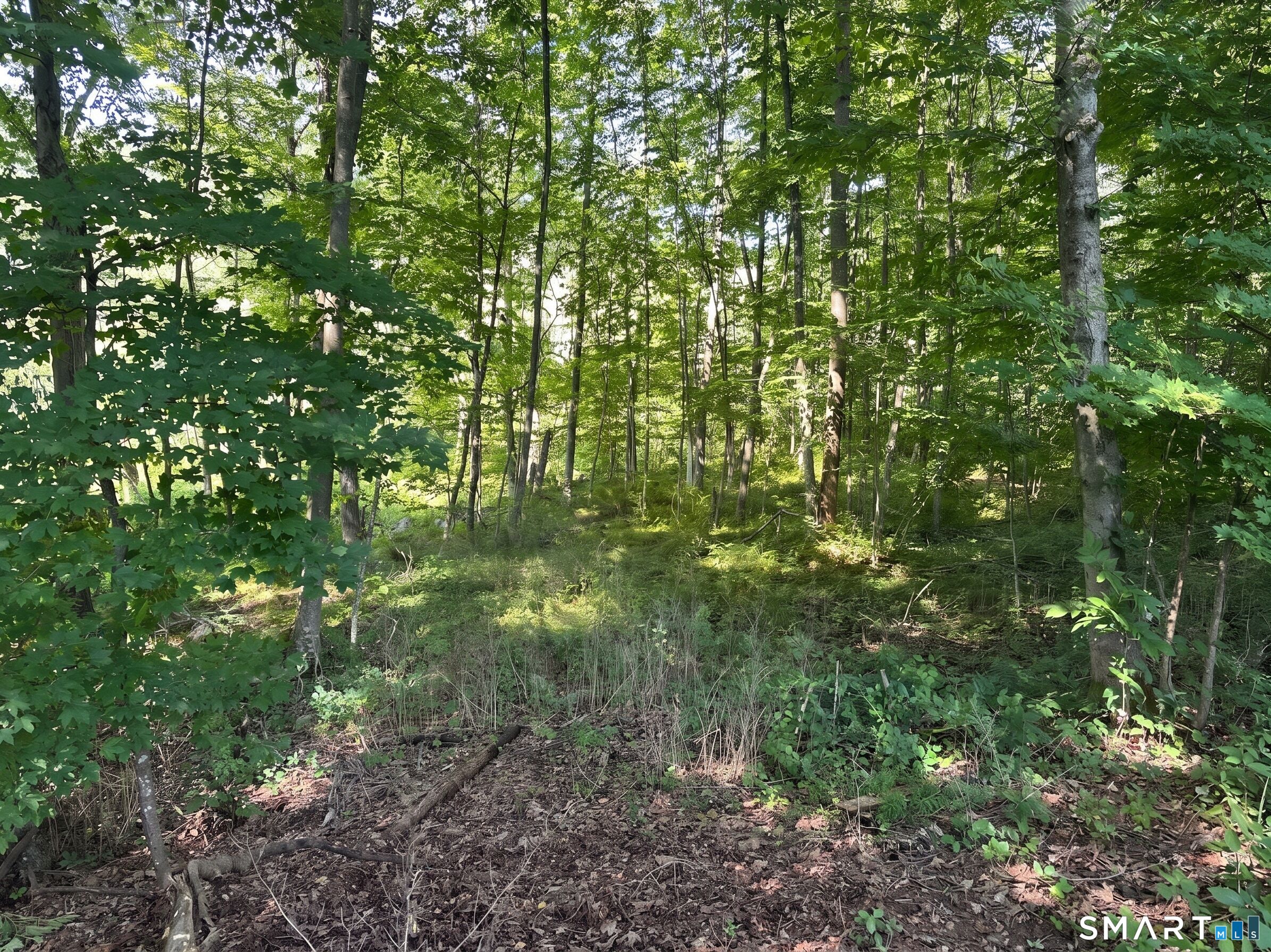 56 Hubbell Mountain Road