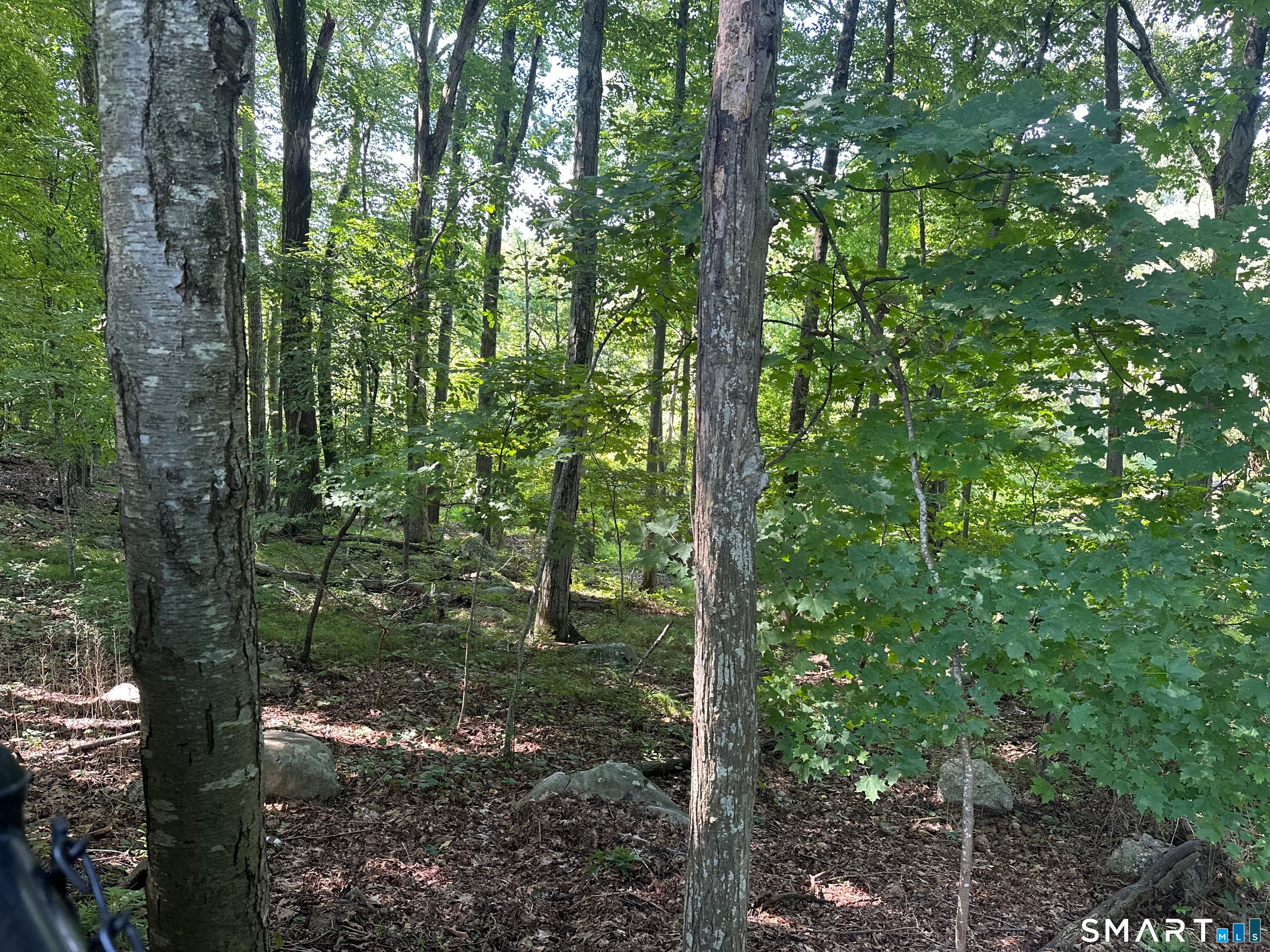56 Hubbell Mountain Road
