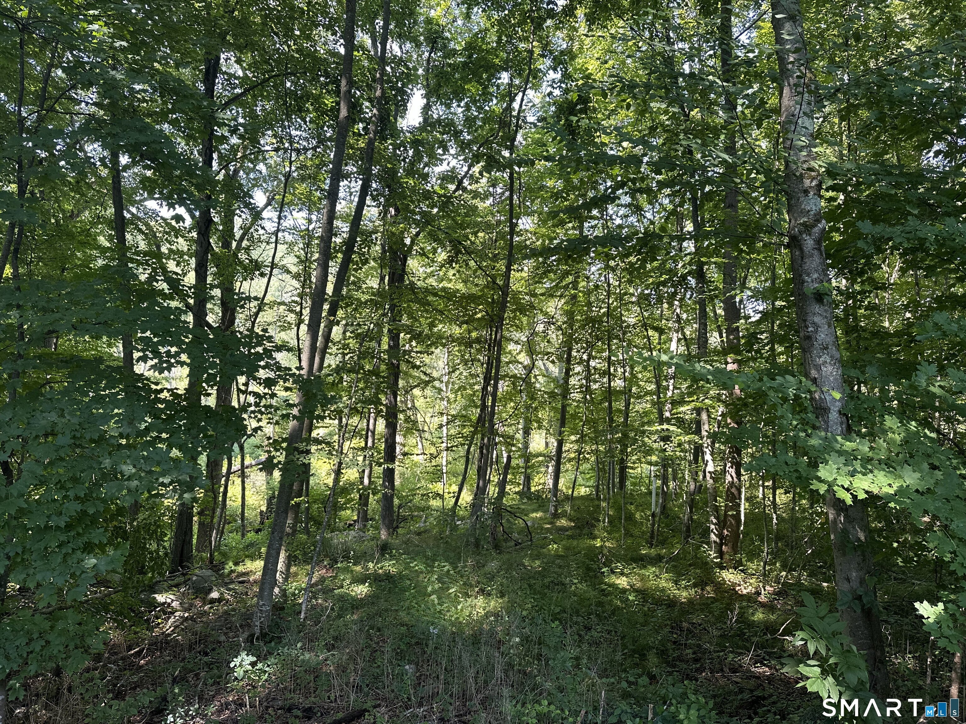 56 Hubbell Mountain Road