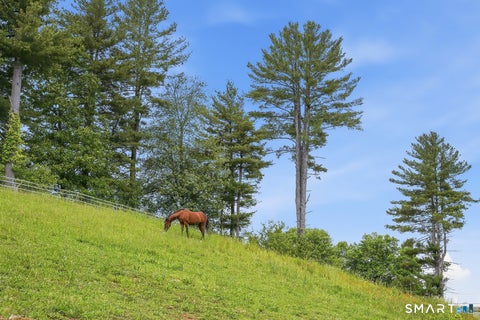 Tiny photo for 49 Blash Road, Thompson, CT 06255 (MLS # 24160547)
