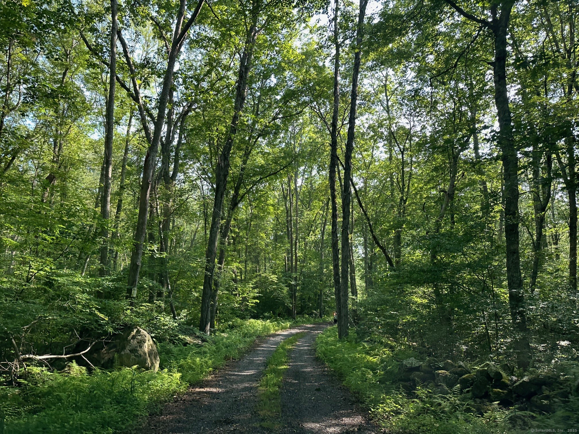 Swantown Hill Road