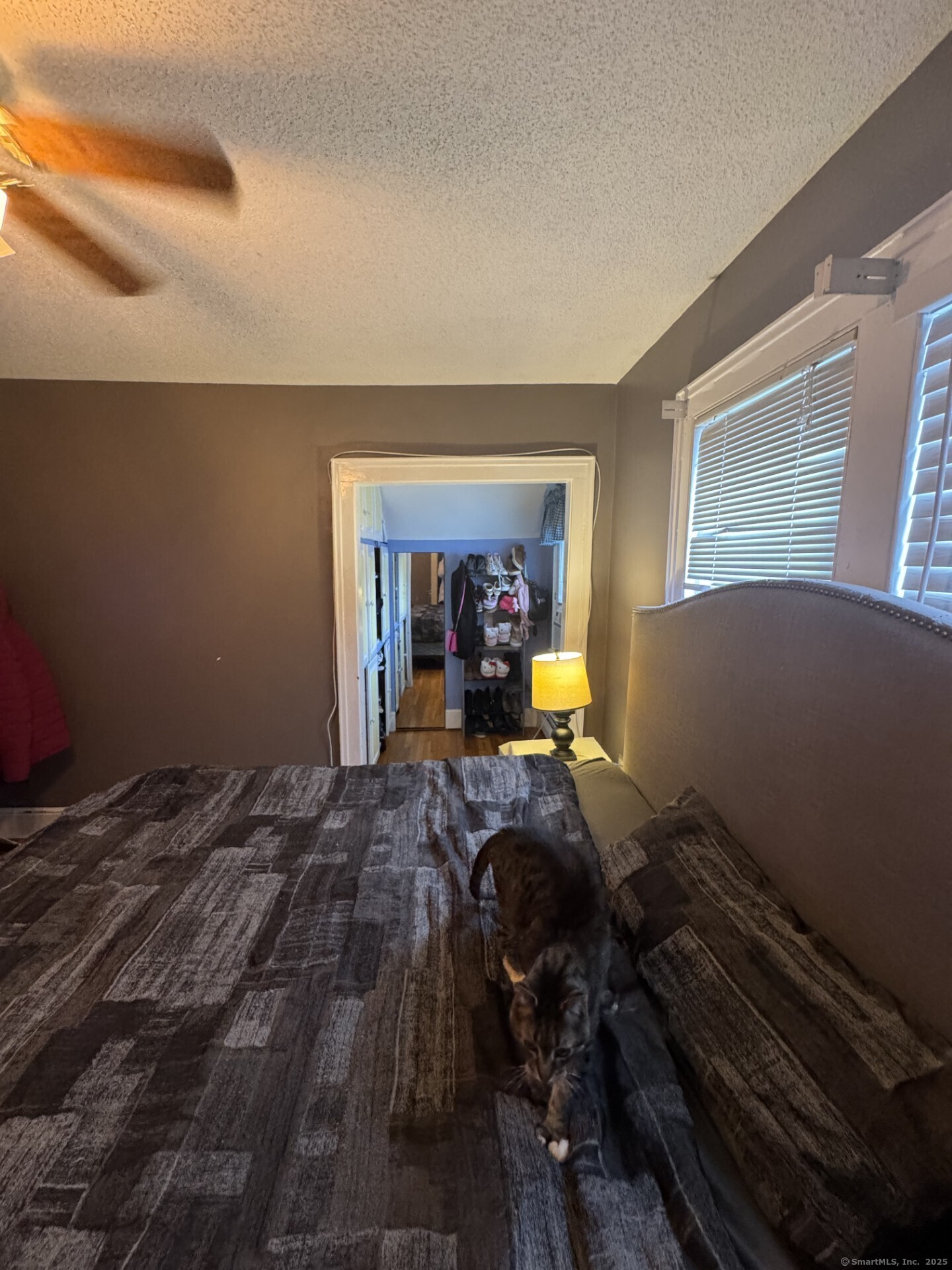117 John Avenue, Bristol, Connecticut image 30