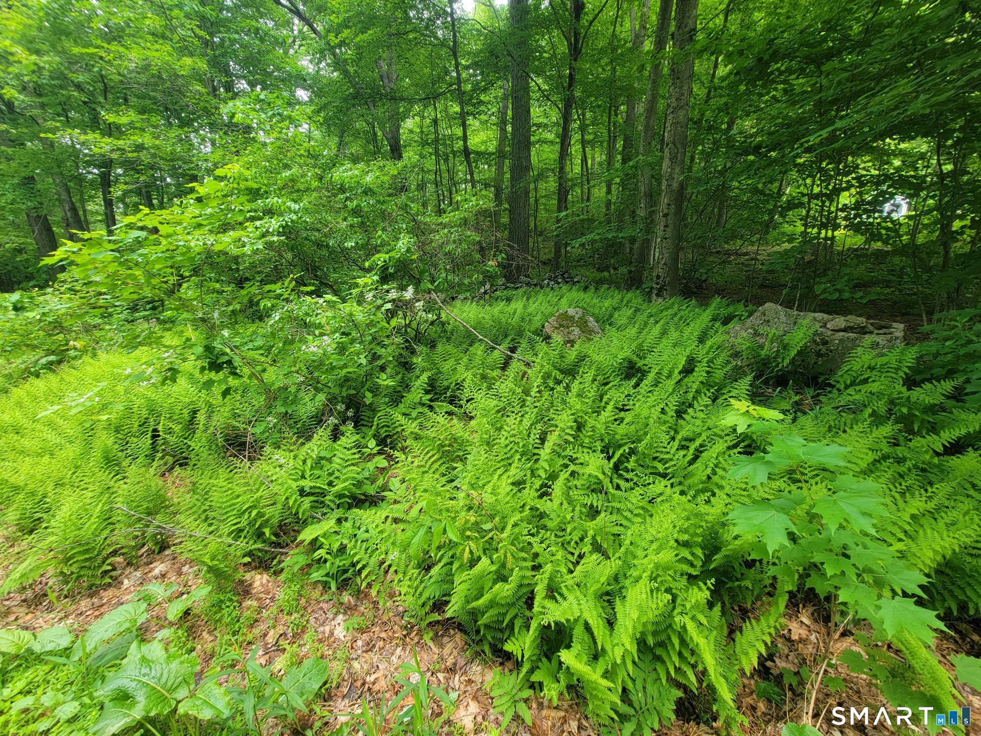 17 (Lot 2) Secret Mountain Trail