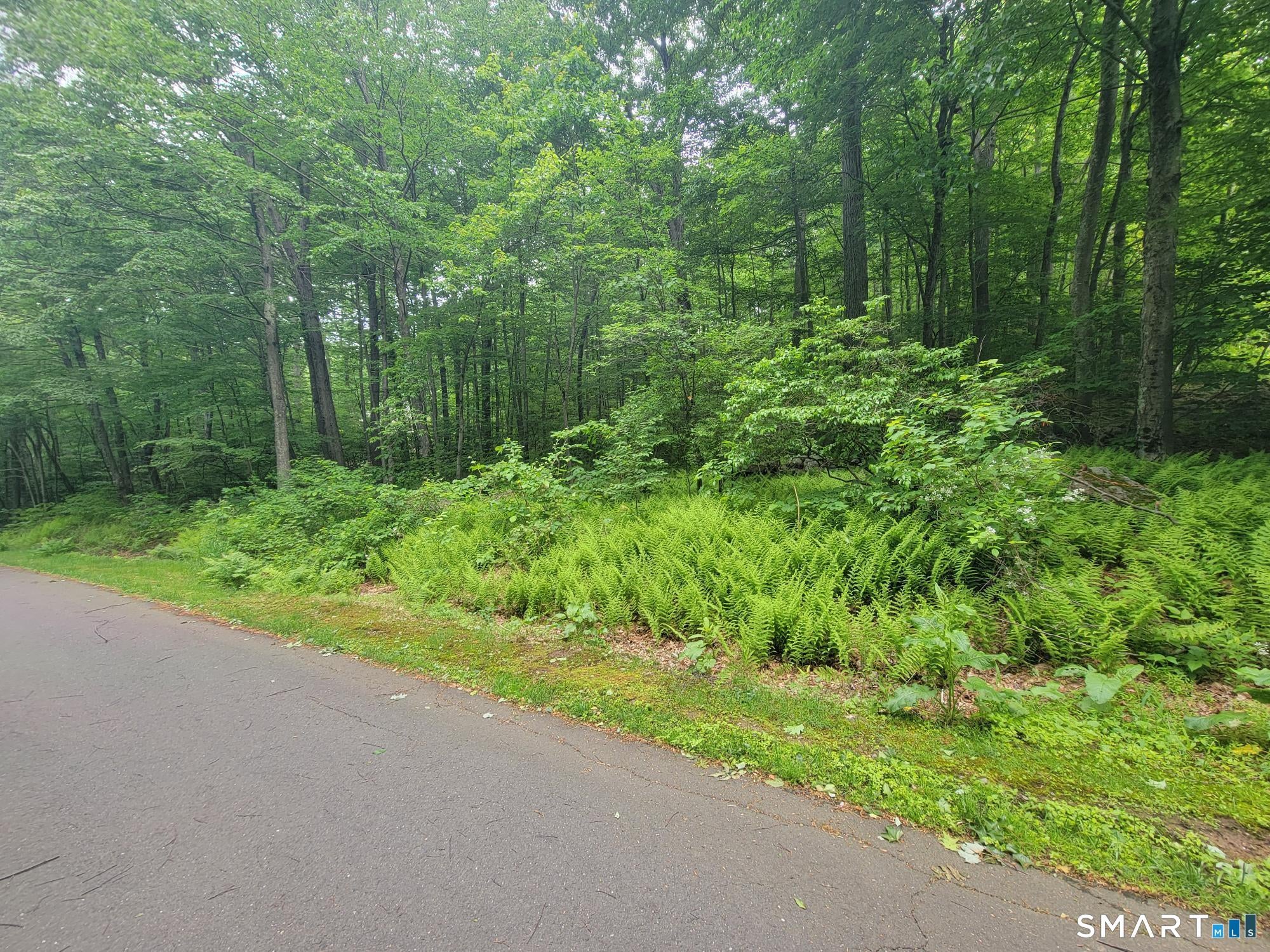 17 (Lot 2) Secret Mountain Trail