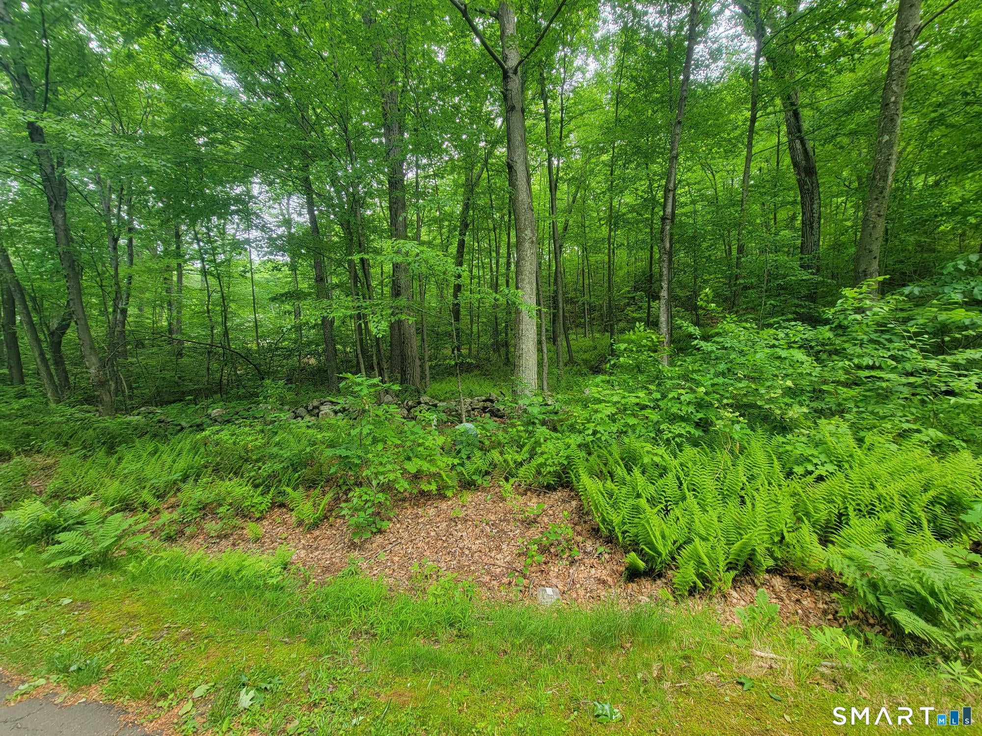 17 (Lot 2) Secret Mountain Trail
