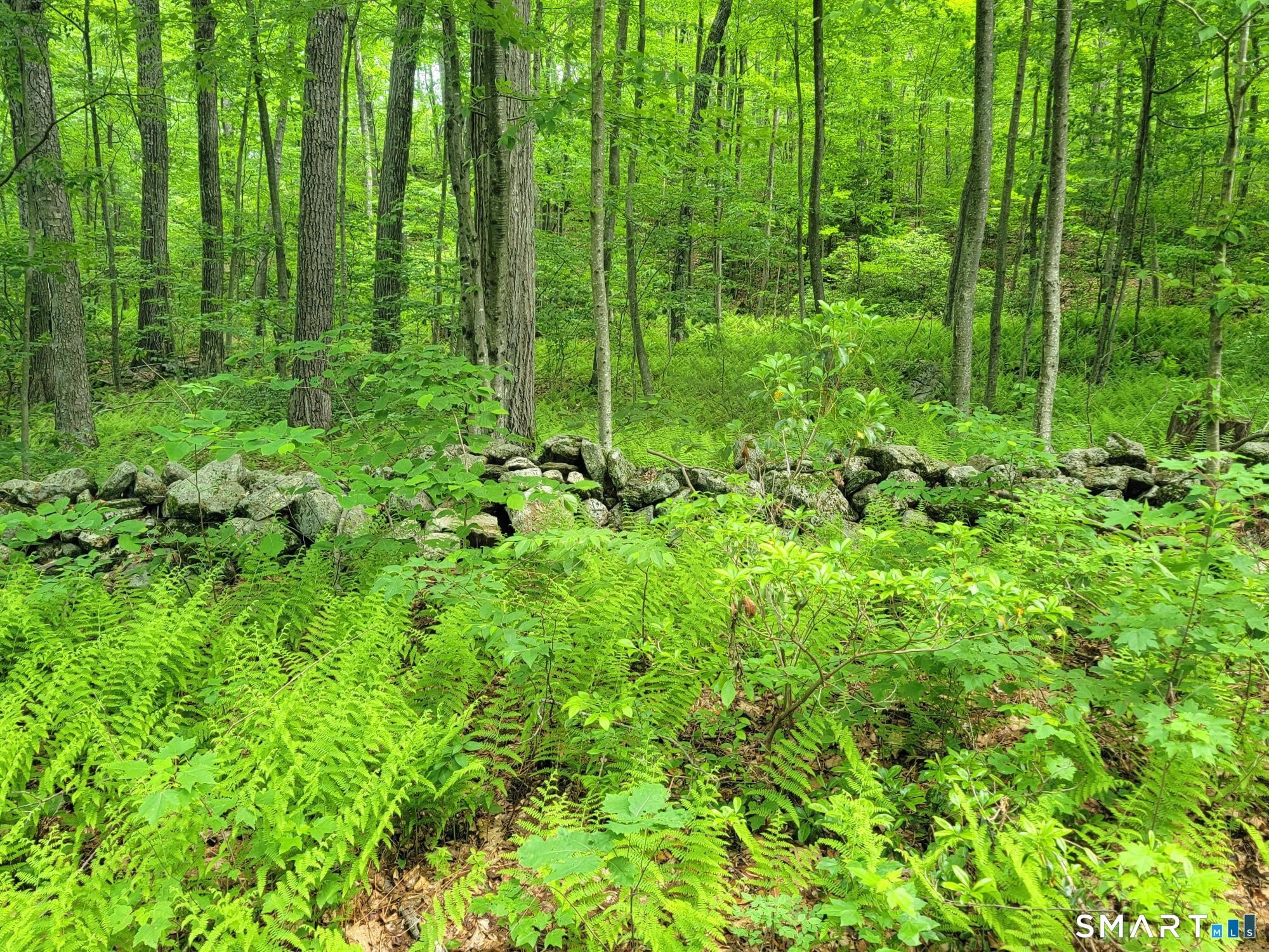 17 (Lot 2) Secret Mountain Trail
