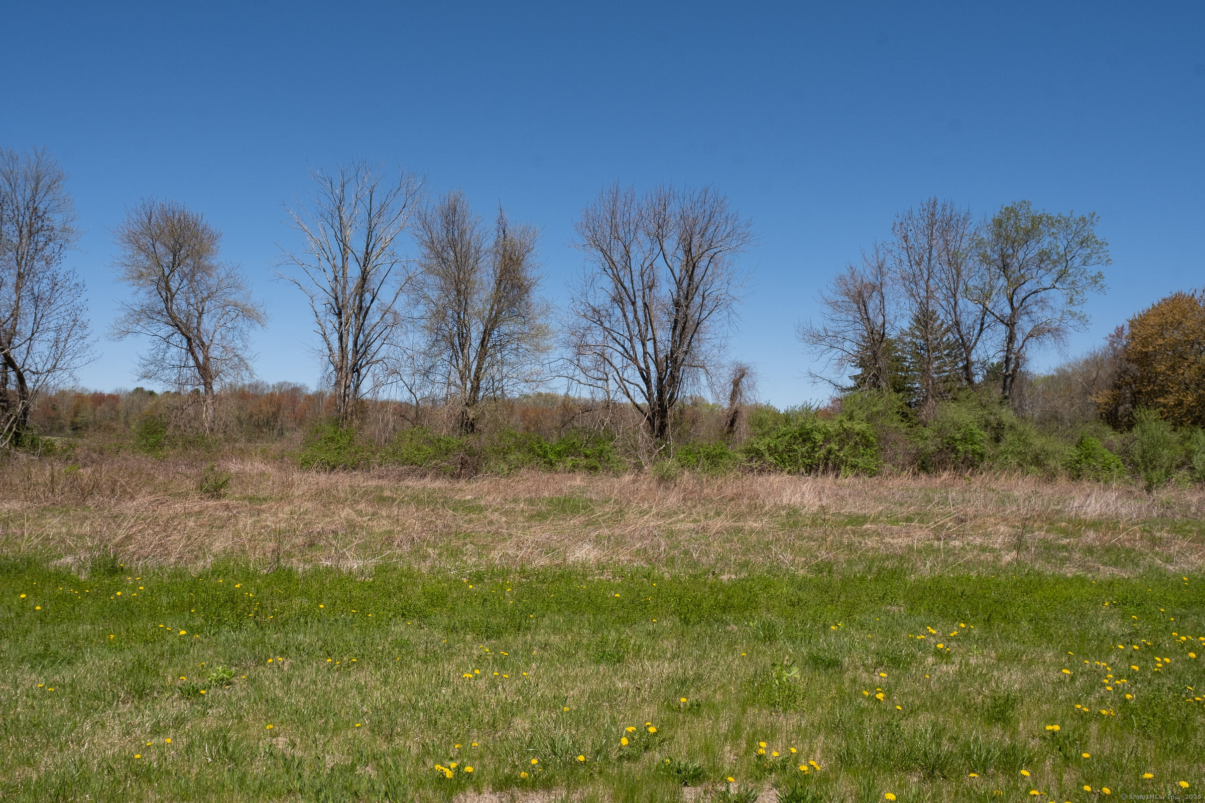 395 Grant Hill (mill Race Drive) Lot #21 Road, Coventry, Connecticut image 2