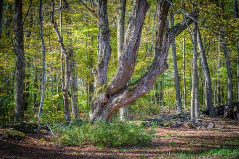 Tiny photo for 50 Brick School Road, Warren, CT 06754 (MLS # 24131821)