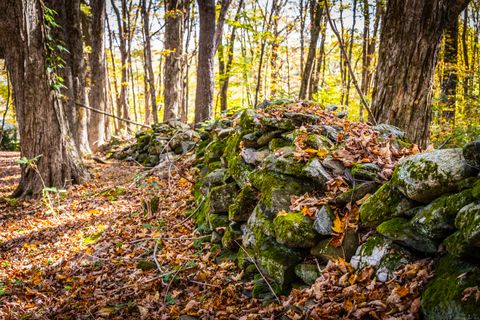 Tiny photo for 50 Brick School Road, Warren, CT 06754 (MLS # 24131821)