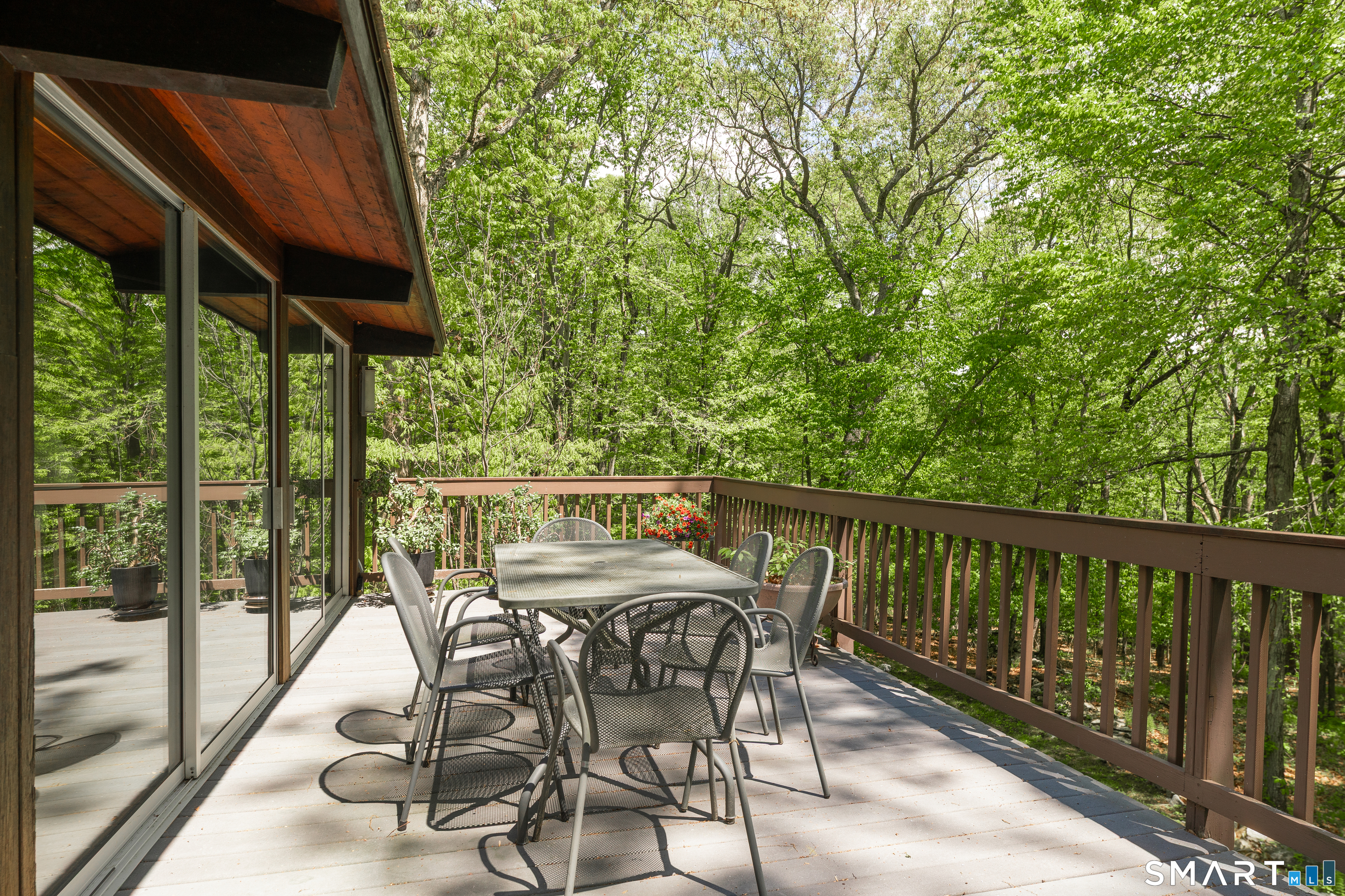 11 Forest Trail