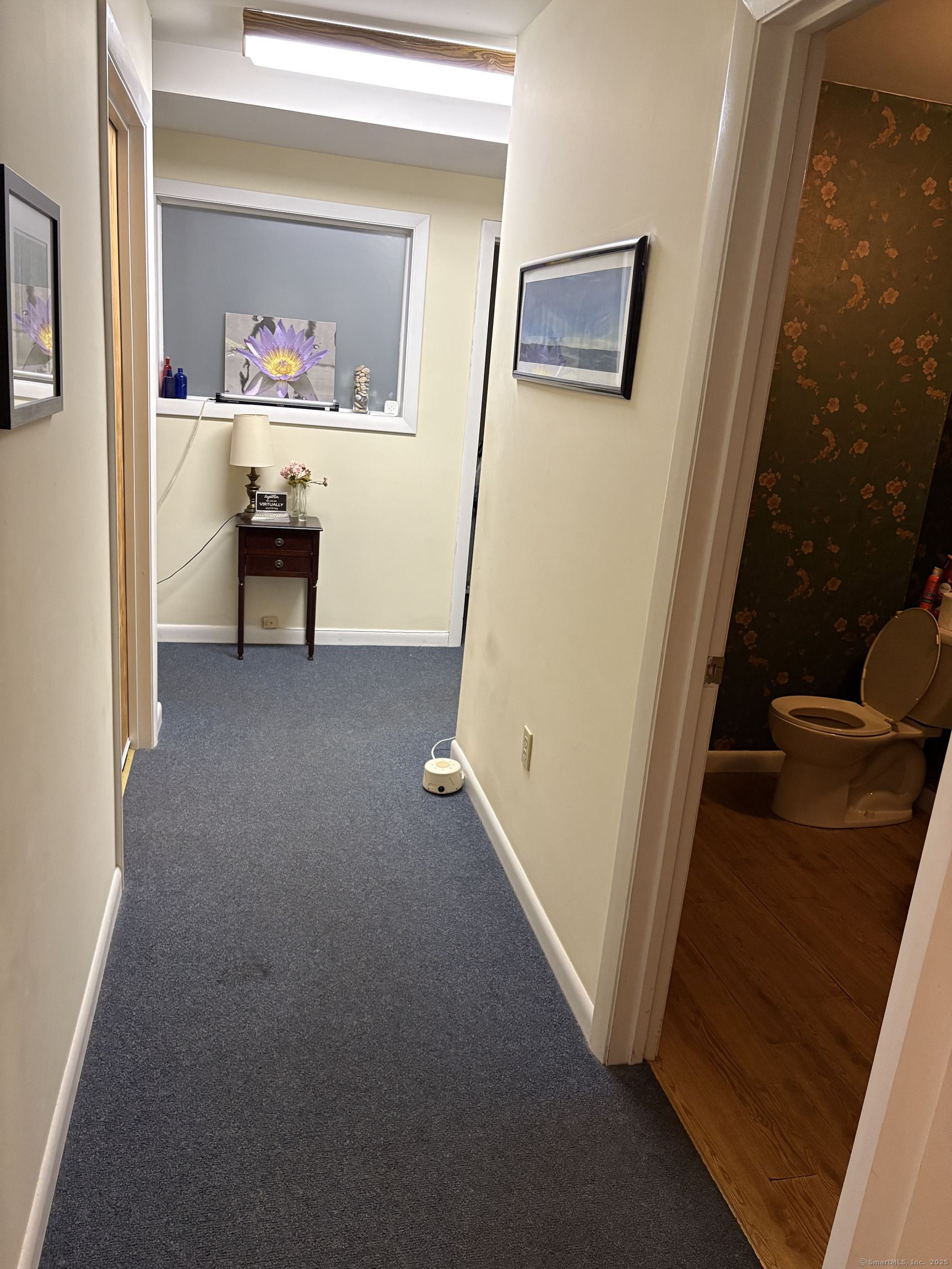 567 Vauxhall Street Extension