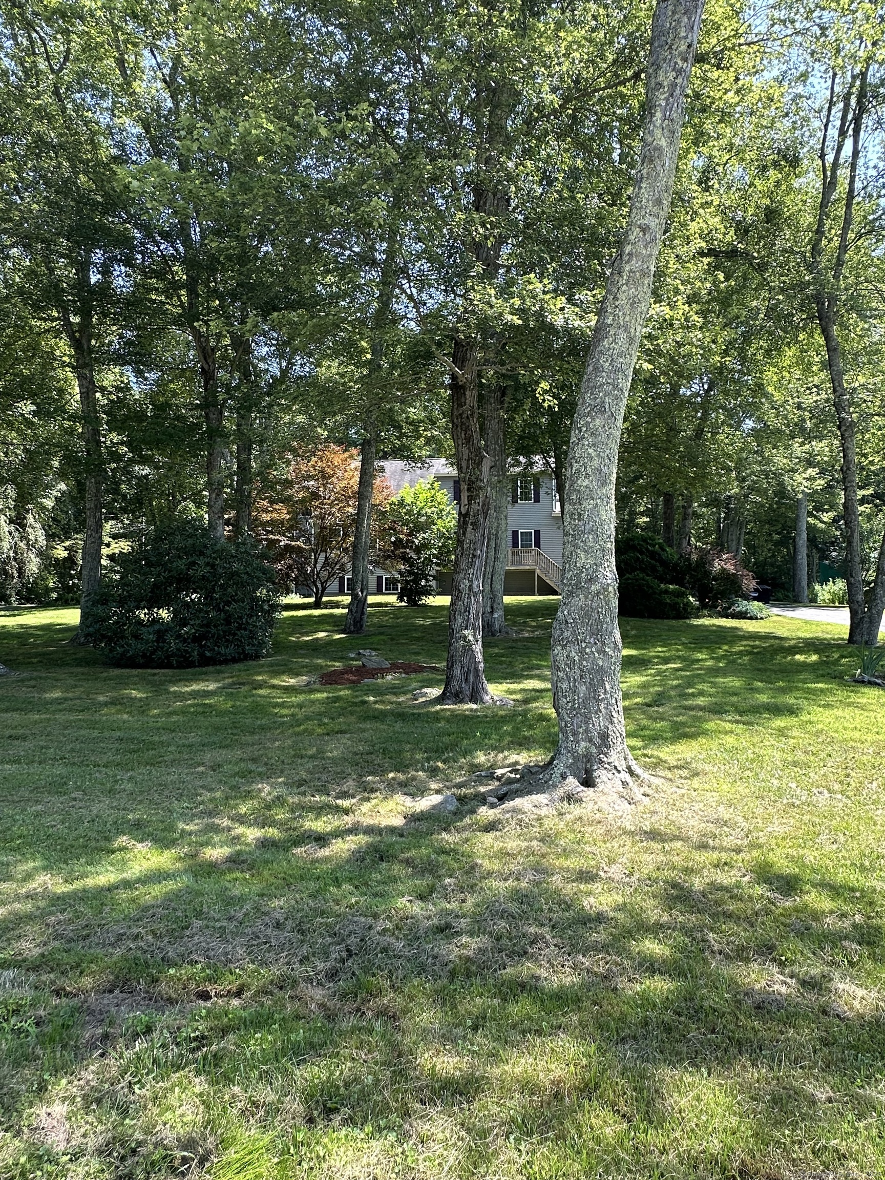 8 Juniper Lane