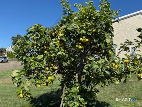 Tiny photo for 12 Red Oak Lane, Seymour, CT 06483 (MLS # 24148964)