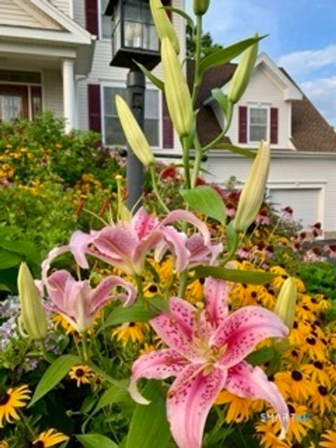 Tiny photo for 12 Red Oak Lane, Seymour, CT 06483 (MLS # 24148964)