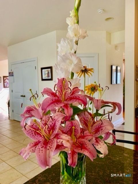 Tiny photo for 12 Red Oak Lane, Seymour, CT 06483 (MLS # 24148964)