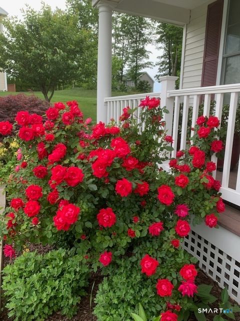 Tiny photo for 12 Red Oak Lane, Seymour, CT 06483 (MLS # 24148964)