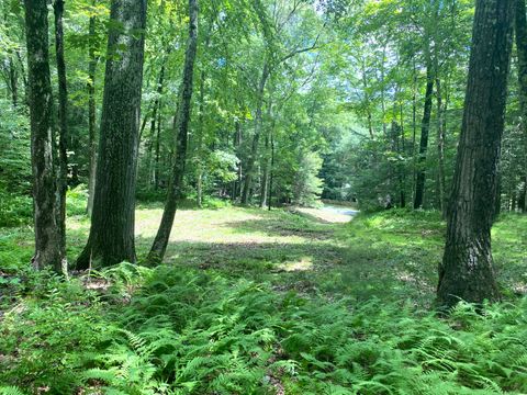 Tiny photo for 307 North Street, Roxbury, CT 06783 (MLS # 24169970)