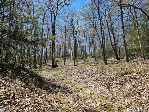 Tiny photo for 307 North Street, Roxbury, CT 06783 (MLS # 24169970)