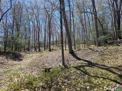 Photo of 307 North Street, Roxbury, CT 06783 (MLS # 24169970)