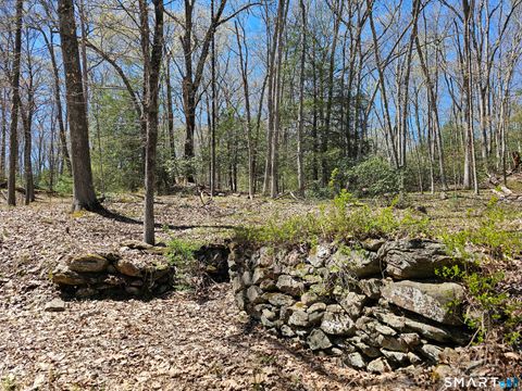 Tiny photo for 307 North Street, Roxbury, CT 06783 (MLS # 24169970)