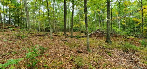 Tiny photo for 307 North Street, Roxbury, CT 06783 (MLS # 24169970)