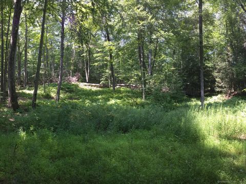 Tiny photo for 307 North Street, Roxbury, CT 06783 (MLS # 24169970)