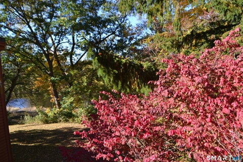 Tiny photo for 128 Garden Street, Farmington, CT 06032 (MLS # 24216727)