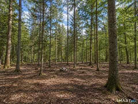 Vacant Land For Sale - 43 Baker Road<br/> Roxbury, CT 06783