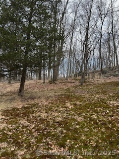 46 Spring Street, Ansonia, Connecticut image 7