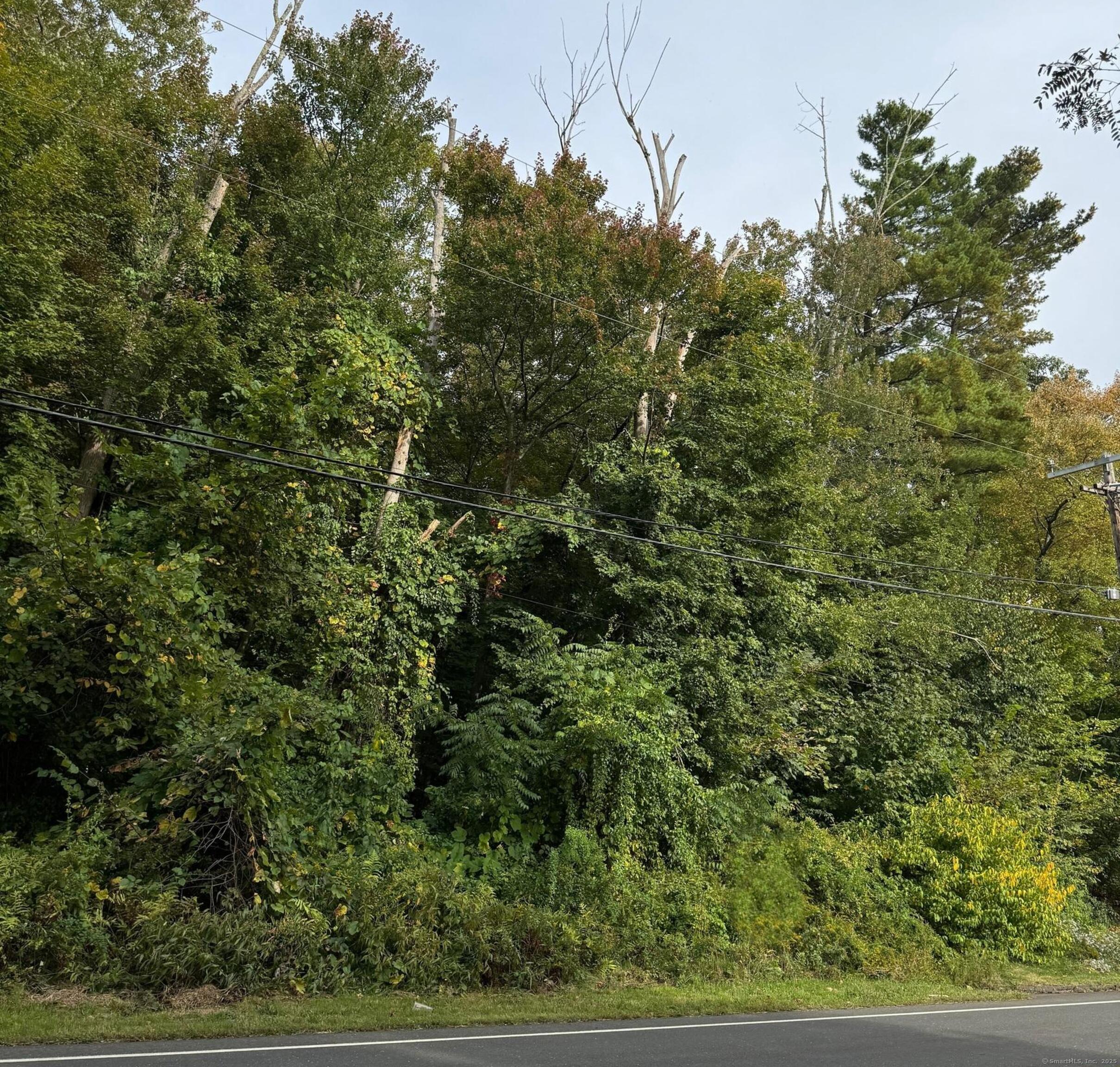 142 Turnpike Road