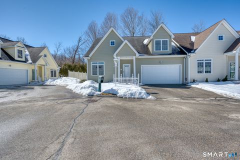 Photo of 7 Chestnut Hollow Road #7, Colchester, CT 06415 (MLS # 24157894)