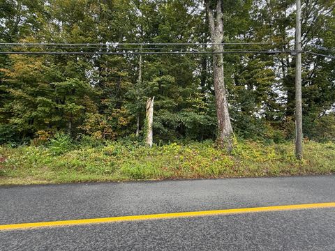 Vacant Land For Sale - 208 South Road<br/> New Hartford, CT 06057
