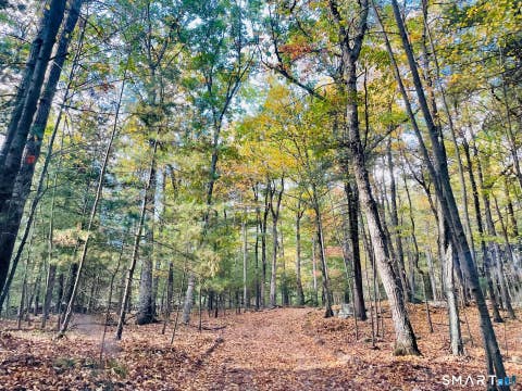 Photo of 245 Knollwood Drive, Glastonbury, CT 06033 (MLS # 24198496)