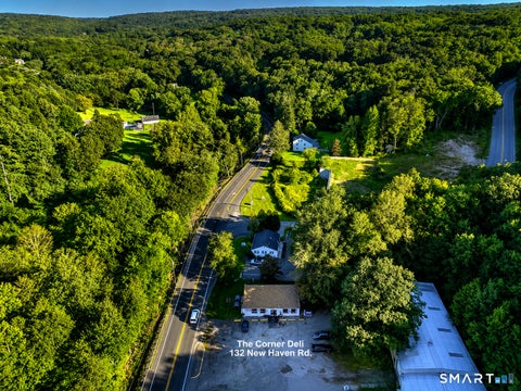 Photo of 132 New Haven Road, Seymour, CT 06483 (MLS # 24200283)