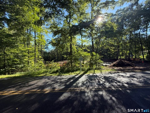 Tiny photo for 215 Old Woodbury Road, Southbury, CT 06488 (MLS # 24193531)