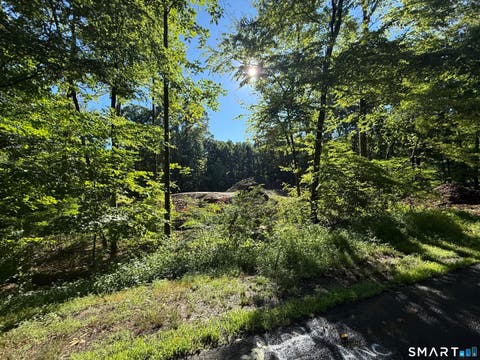 Tiny photo for 215 Old Woodbury Road, Southbury, CT 06488 (MLS # 24193531)
