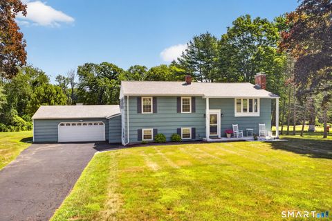Photo of 103 Village Street, North Branford, CT 06472 (MLS # 24188492)