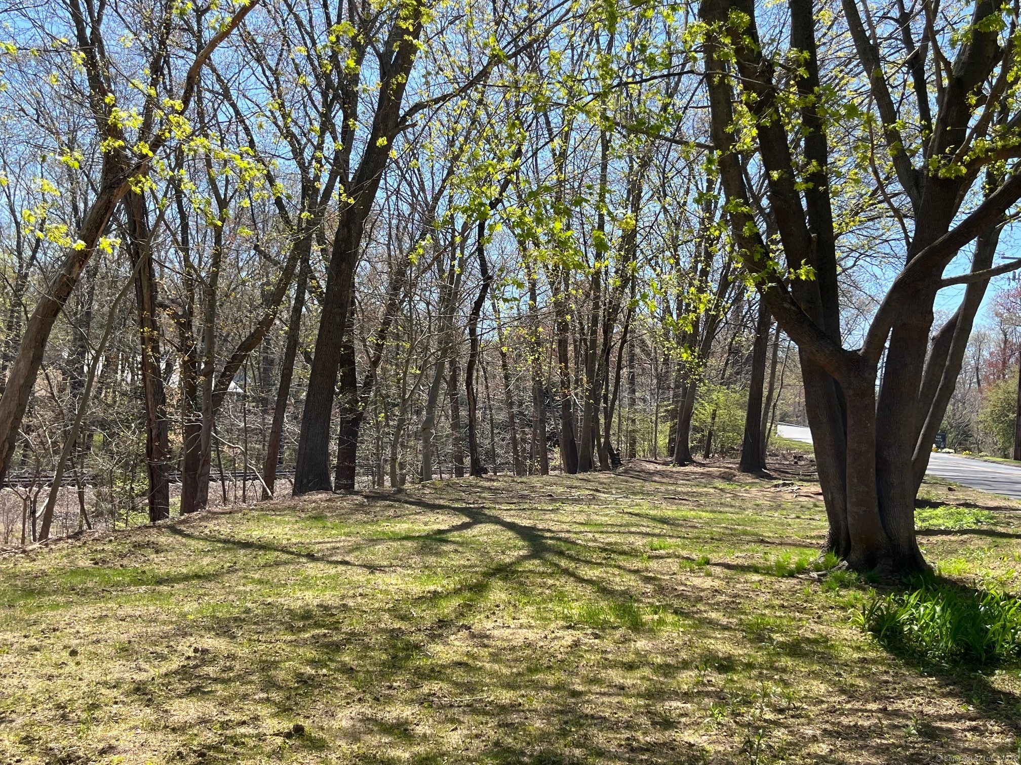 55 Woodland Road, Madison, Connecticut image 2