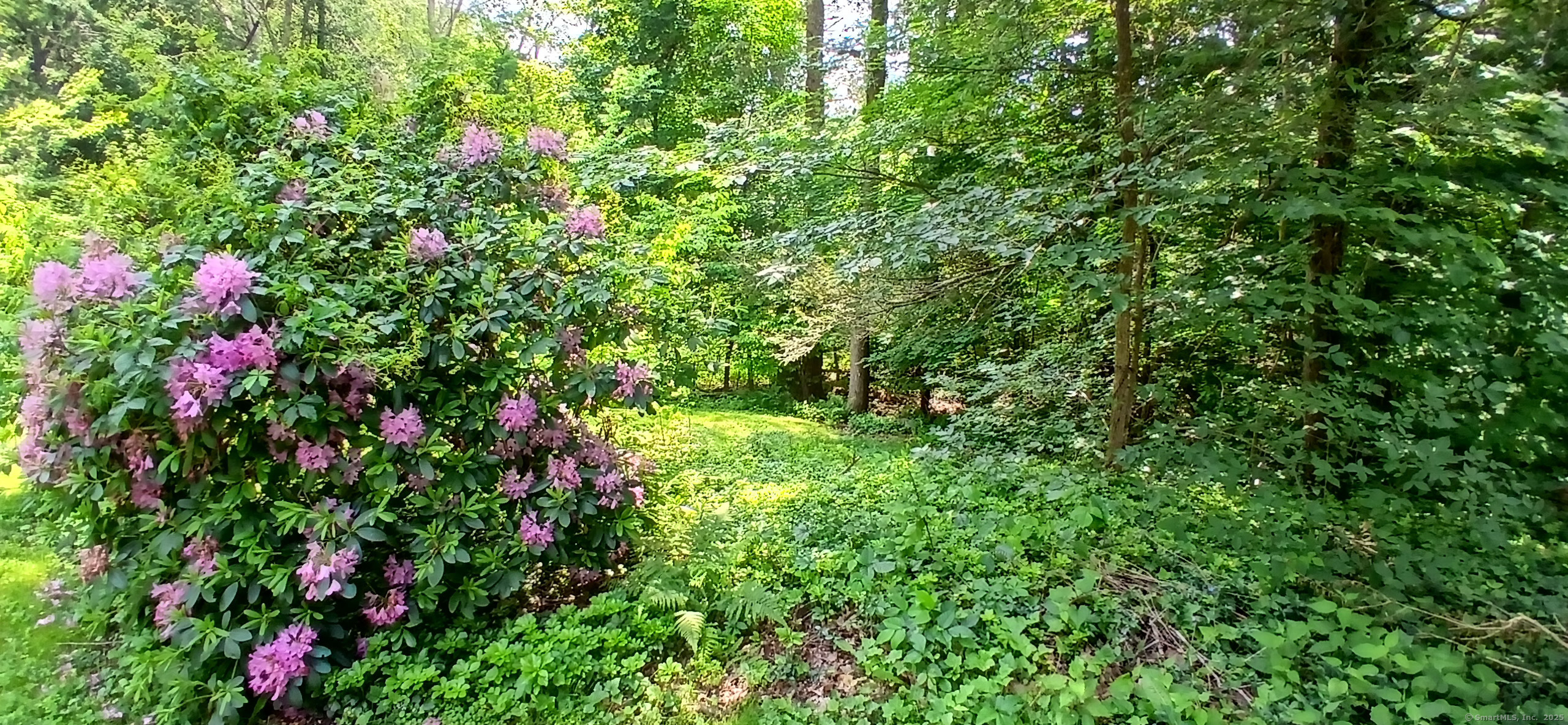 Canton, Connecticut 06019, United States, 2 Bedrooms Bedrooms, ,1 BathroomBathrooms,Residential,Active,146616