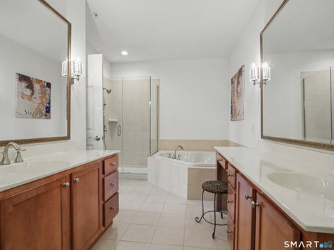 Tiny photo for 1 Rivington Way #306, Danbury, CT 06810 (MLS # 24211874)