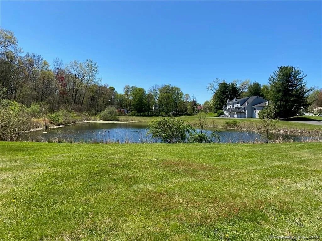 19 Chelsea Lane #19, East Granby, Connecticut image 23