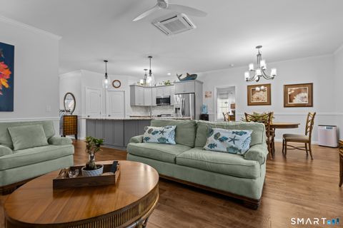 Tiny photo for 6 Grace Lane #6, Plainfield, CT 06354 (MLS # 24150740)