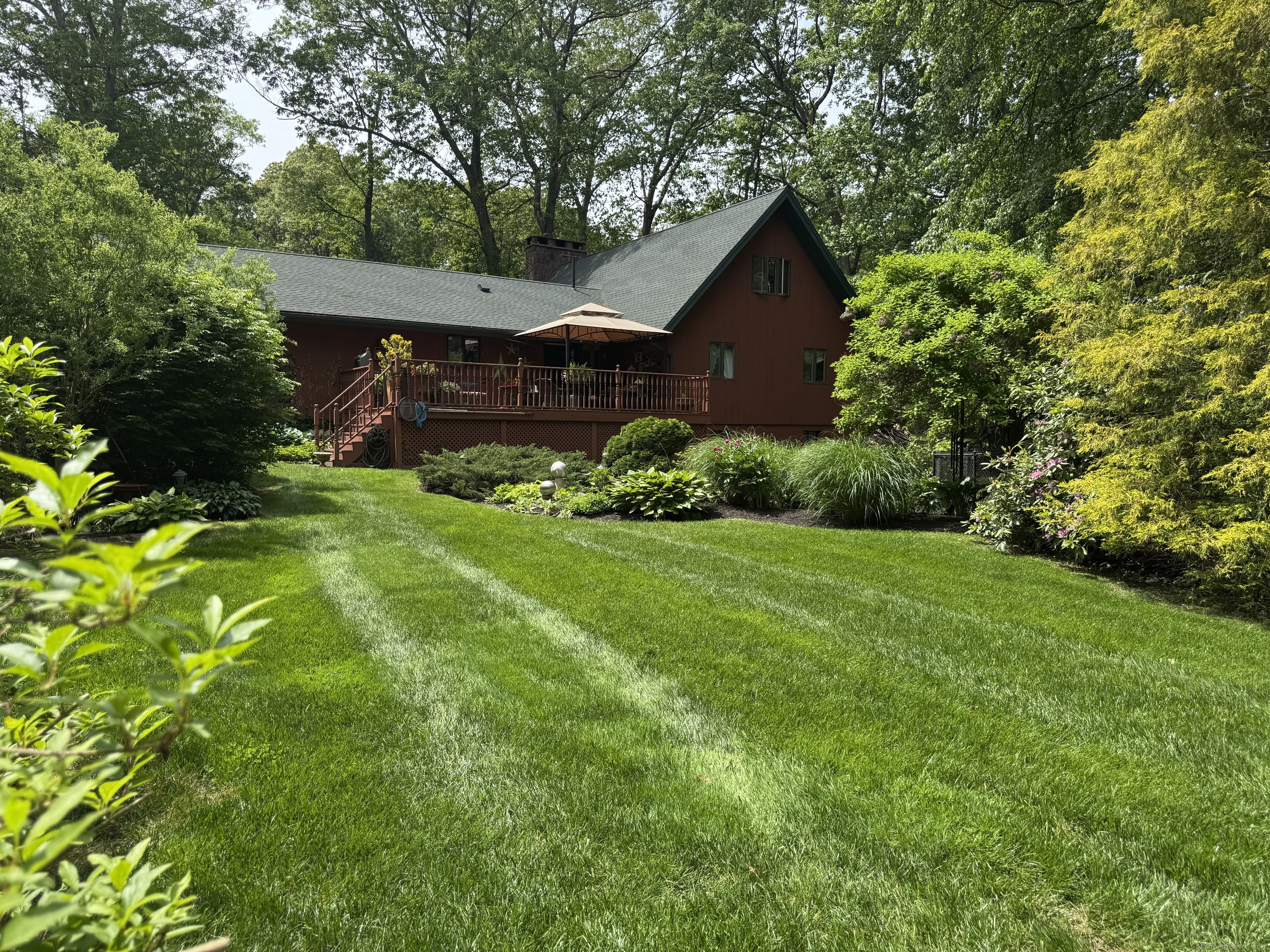 846 Arbutus Street, Middletown, Connecticut image 5