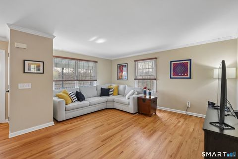 Tiny photo for 13 King Street, Danbury, CT 06811 (MLS # 24168274)