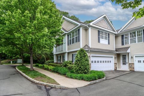 5 Franklin Court 5 Newtown CT 06470