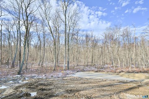 Tiny photo for 401 Tripp Hollow Road, Canterbury, CT 06234 (MLS # 24148662)