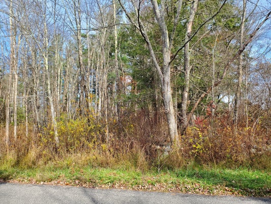 BRYNMOOR CT, GOSHEN, CT 06756 - Image ac9773ca189e68469d0d9e2ff06fdb7e/313901726