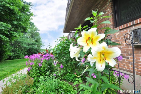 Tiny photo for 895 Matthews Street #9, Bristol, CT 06010 (MLS # 24194912)
